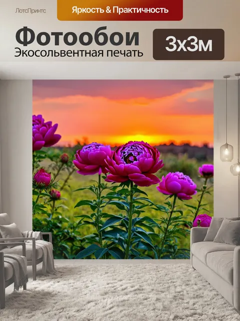 Фотообои пионы на фоне яркого заката