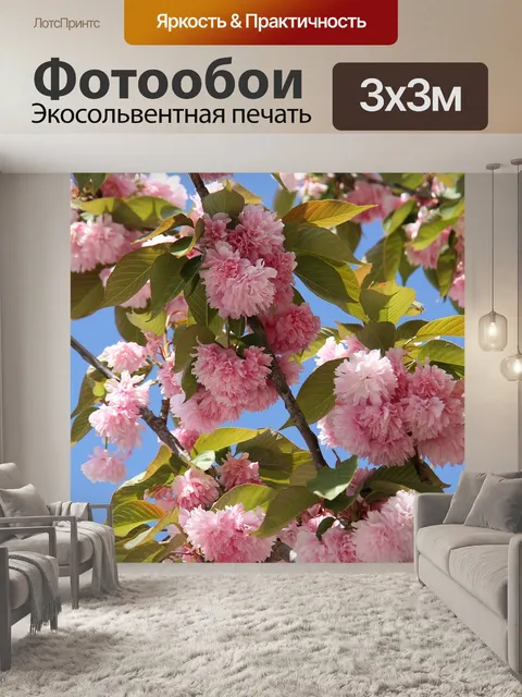 Фотообои Японская сакура