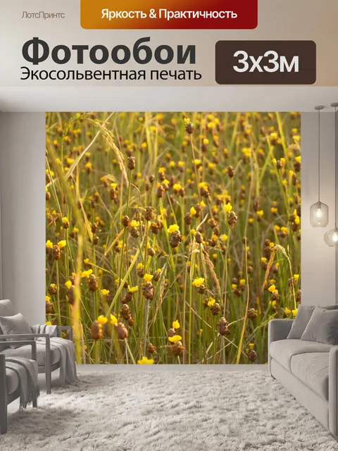 Фотообои Цветки одичалые Стоковая Фотография