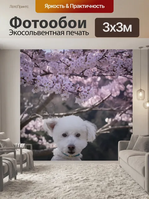 Фотообои Собака