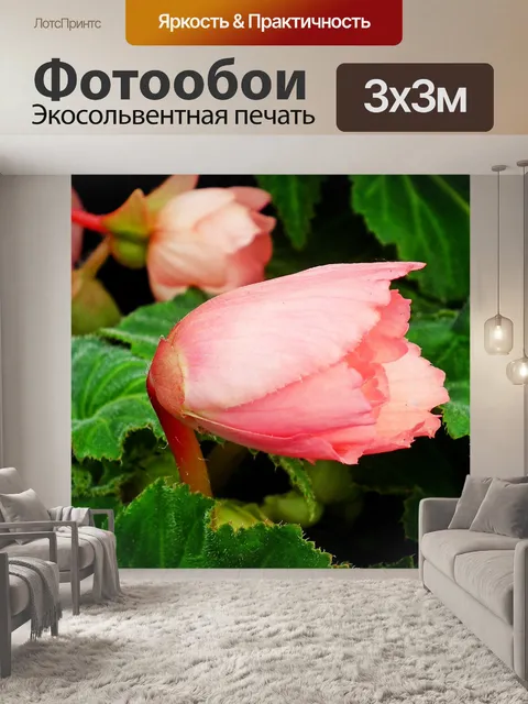 Фотообои Цветы