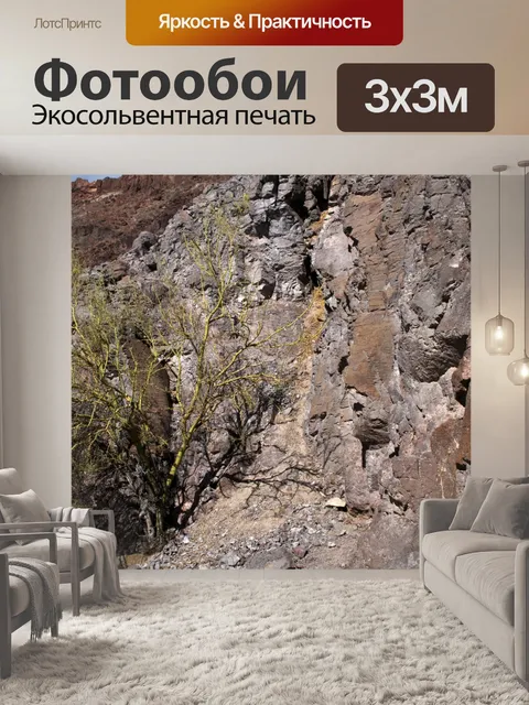 Фотообои Кисть в пустыне