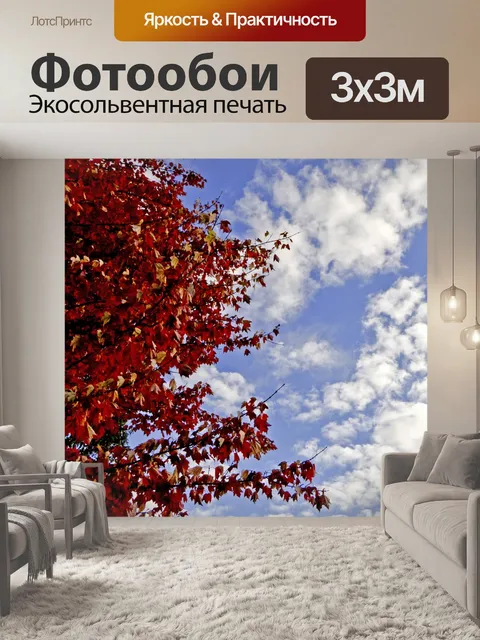 Фотообои Ярко-красный клен