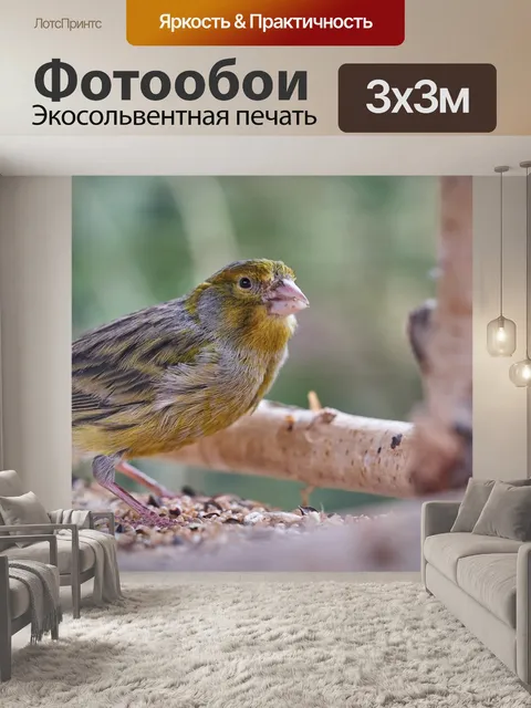 Фотообои Птица