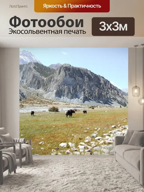 Фотообои Як