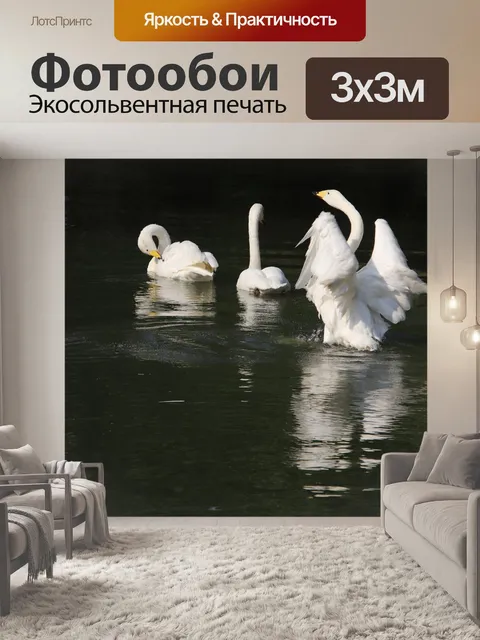 Фотообои Лебеди