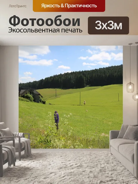 Фотообои Черный лес