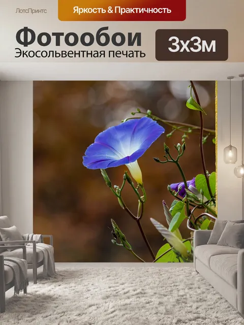 Фотообои Цветок