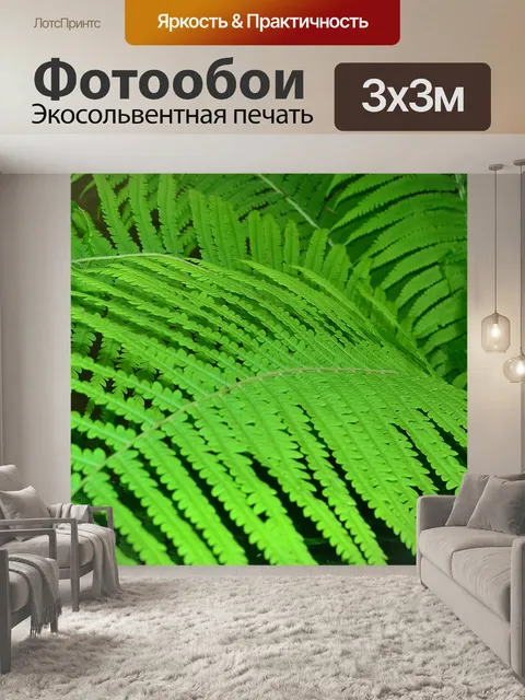 Фотообои Папоротник