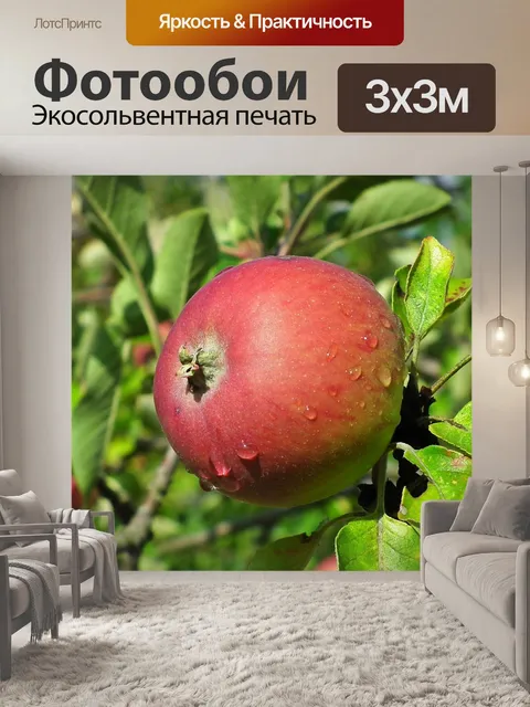 Фотообои Apple