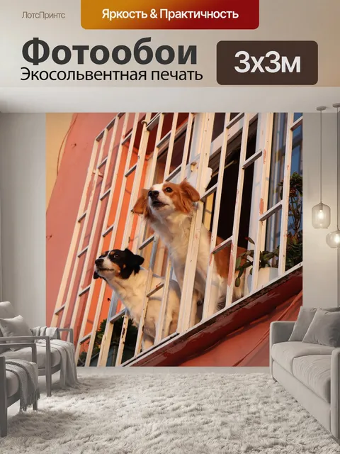 Фотообои Окно