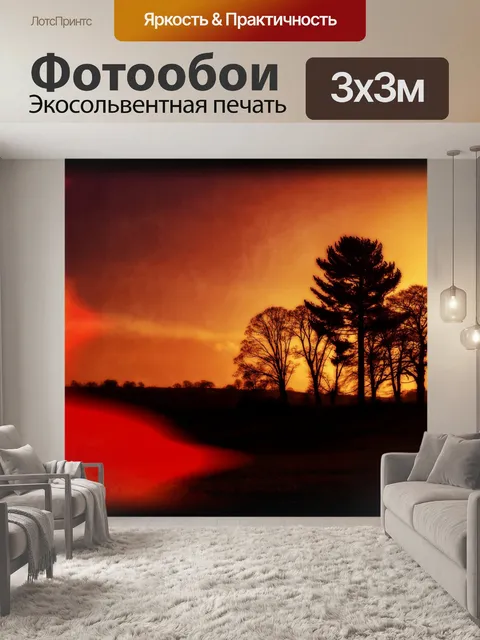 Фотообои Деревья без листьев