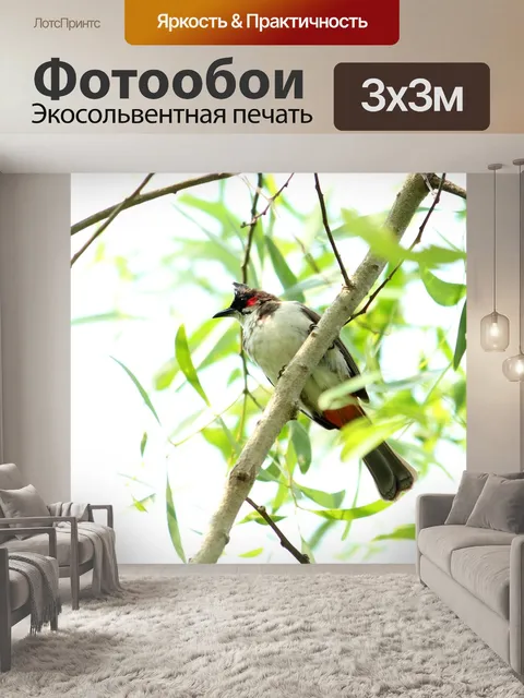 Фотообои Природа