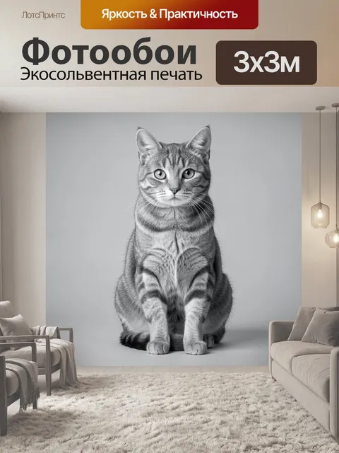 Фотообои Сидящий полосатый кот