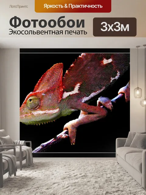 Фотообои Животное