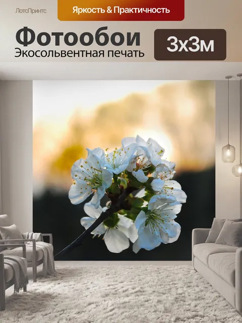 Фотообои Вишня