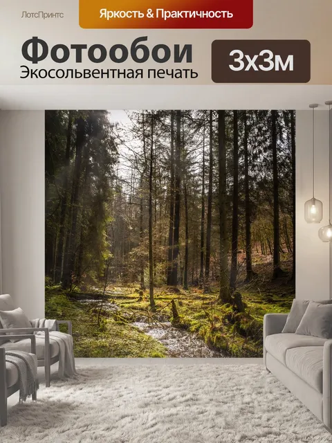 Фотообои Лес