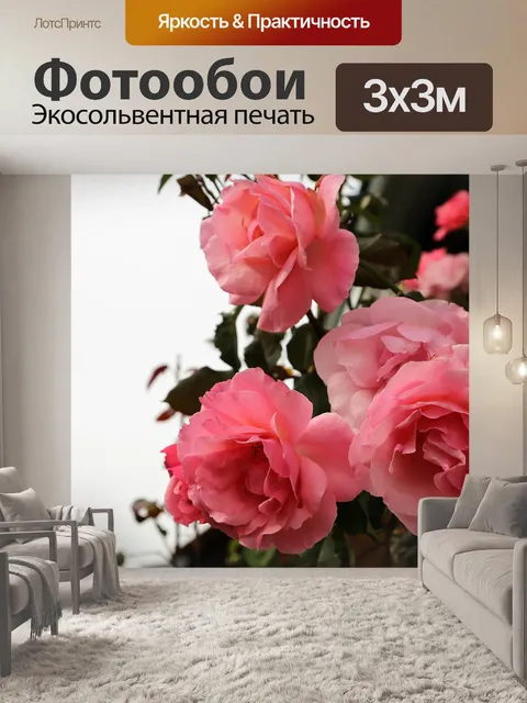 Фотообои Папийон розы