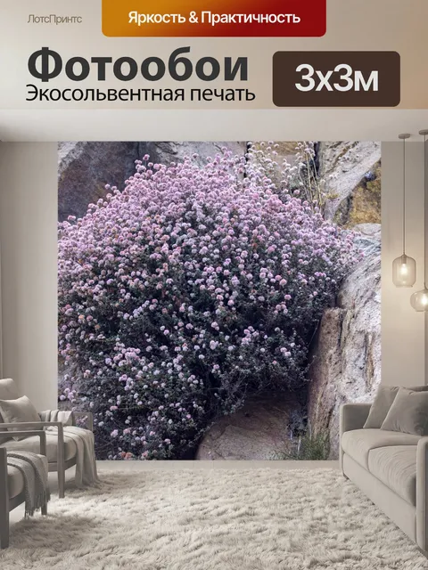 Фотообои цветы утеса