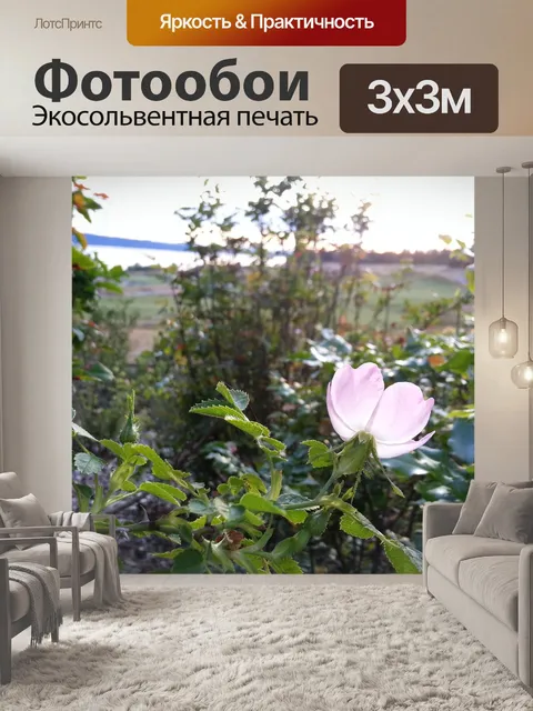 Фотообои Нежный
