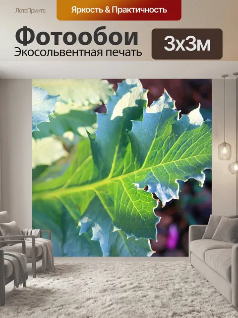 Фотообои Солнце на маковых листьях