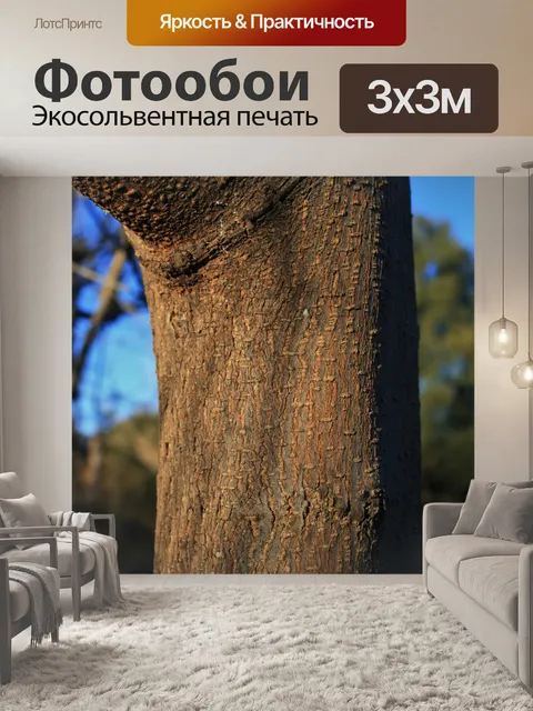Фотообои Кора дерева с насечками текстуры