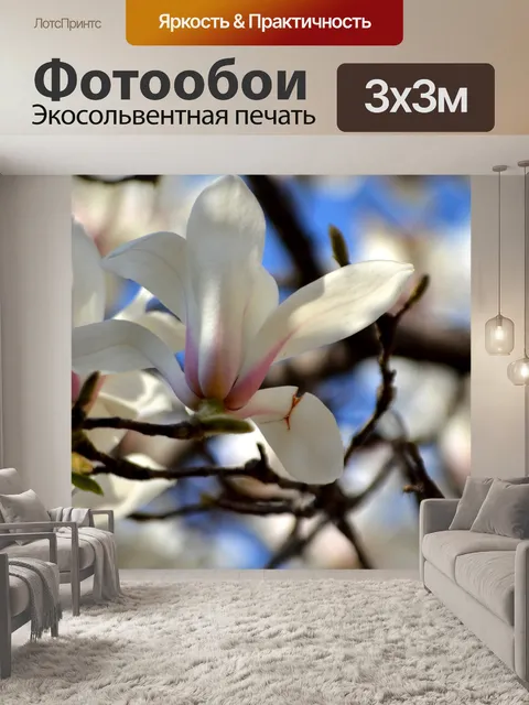 Фотообои Магнолия Дерево Blossom (а)
