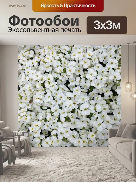 Фотообои Белые цветы
