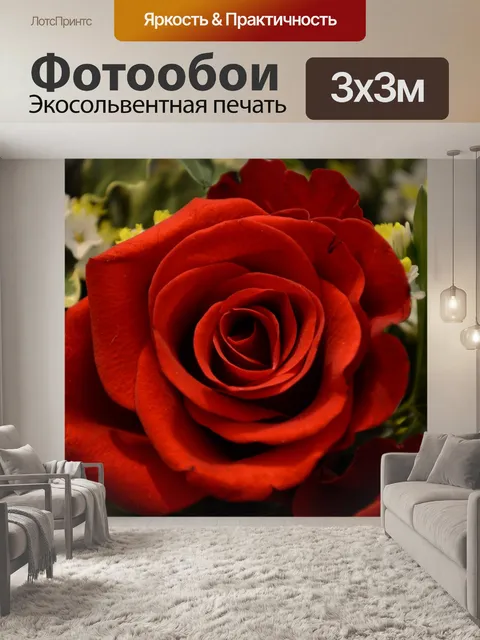 Фотообои Красная роза