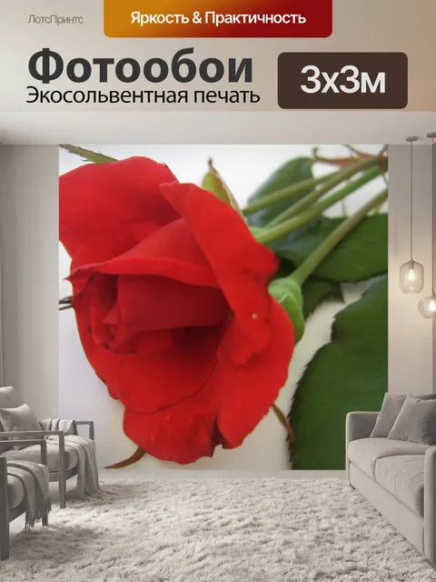 Фотообои Красные розы