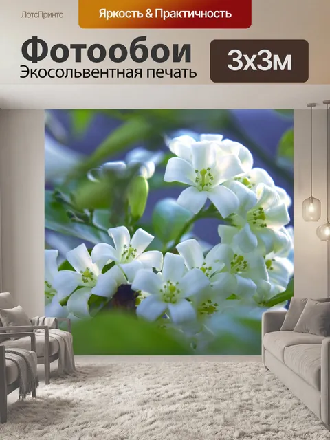 Фотообои Белые маленькие цветы 4