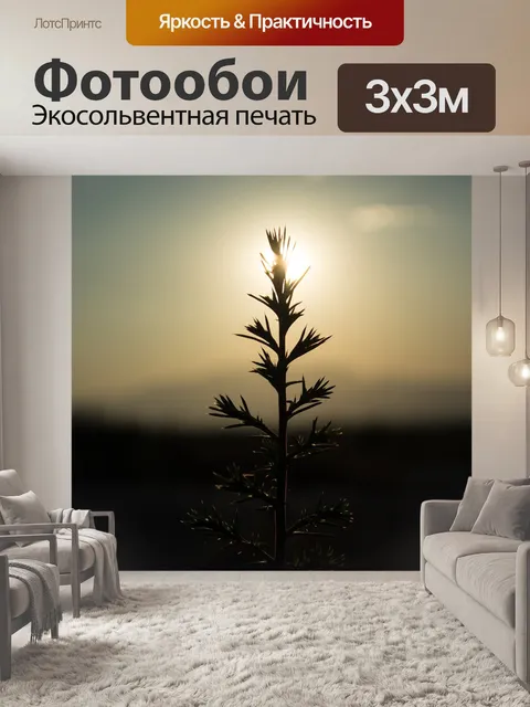 Фотообои Закат