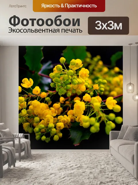 Фотообои Цветы