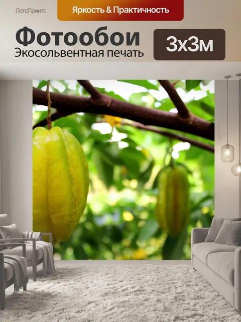 Фотообои Фрукты Star Fruit и Star Fruit Apple