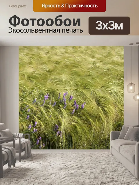 Фотообои Пчелиное пастбище Фацелия цветы поле