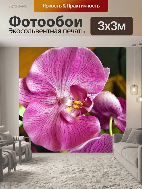 Фотообои Цветок