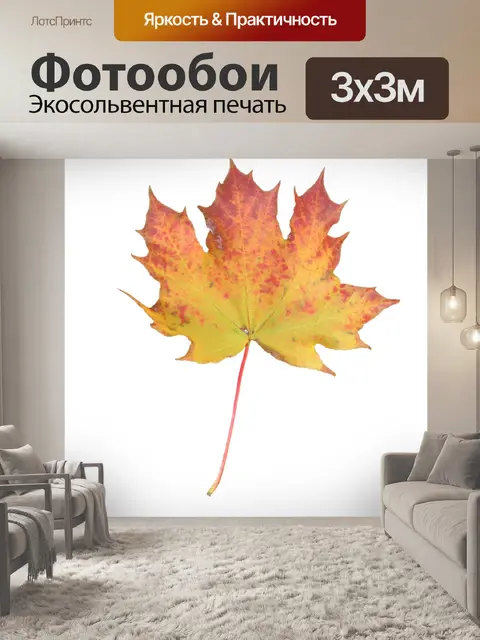 Фотообои Желтые листья клена Оранжевый