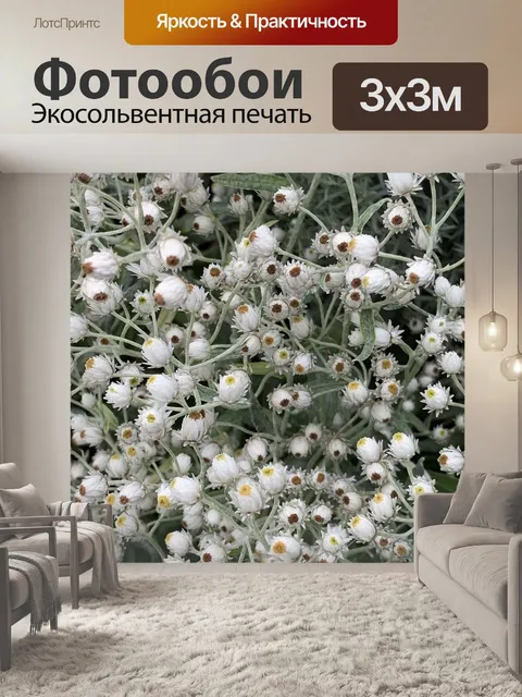 Фотообои Цветы