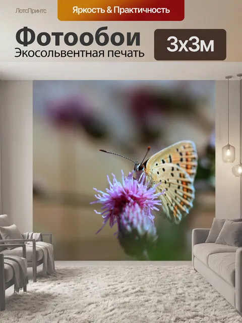 Фотообои Бабочка