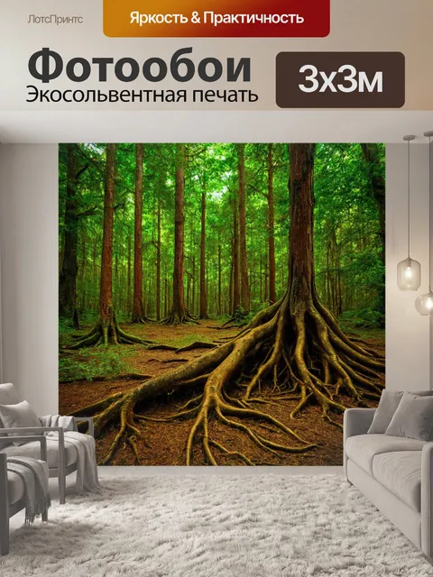 Фотообои старый лес с покосившимися деревьями и корнями, выглядывающими из земли