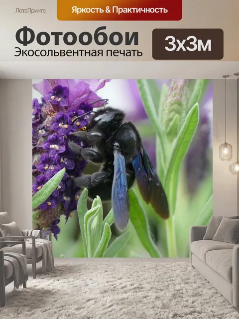 Фотообои Лаванда