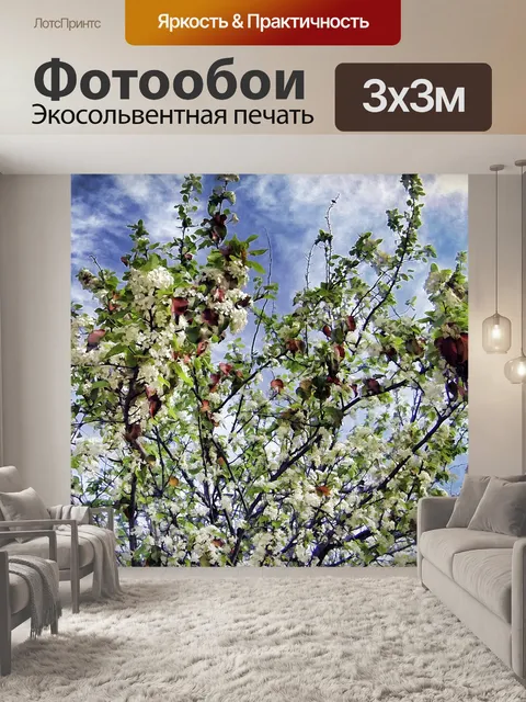 Фотообои Яблоневые цветы