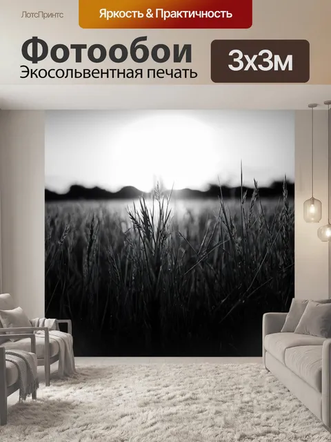 Фотообои поле, где стебли травы становятся вечерними силуэтами на фоне заката
