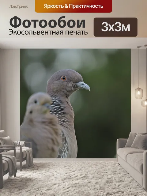 Фотообои Птица