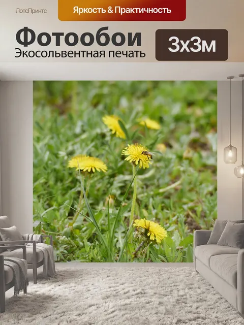 Фотообои Цветы