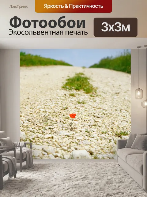 Фотообои Дорожка