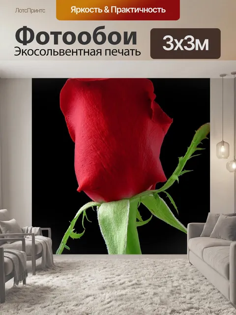 Фотообои Романтическая Красная роза