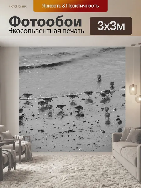 Фотообои Птицы моря