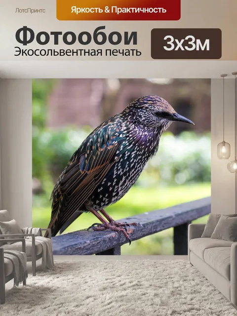 Фотообои Птица