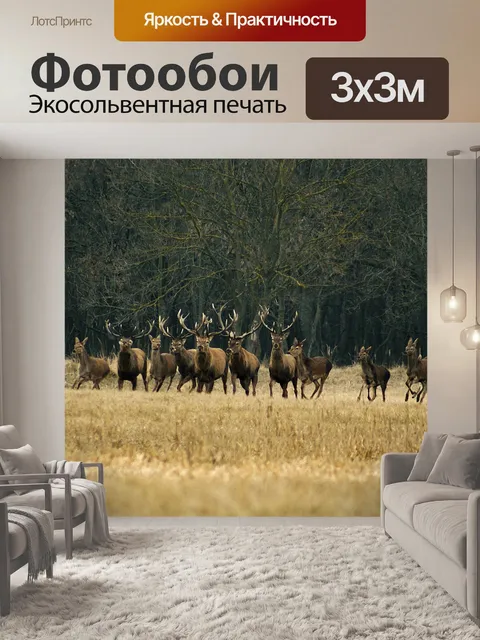 Фотообои Лесной олень